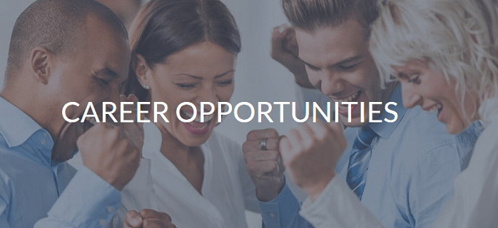 Waverley IT Internship